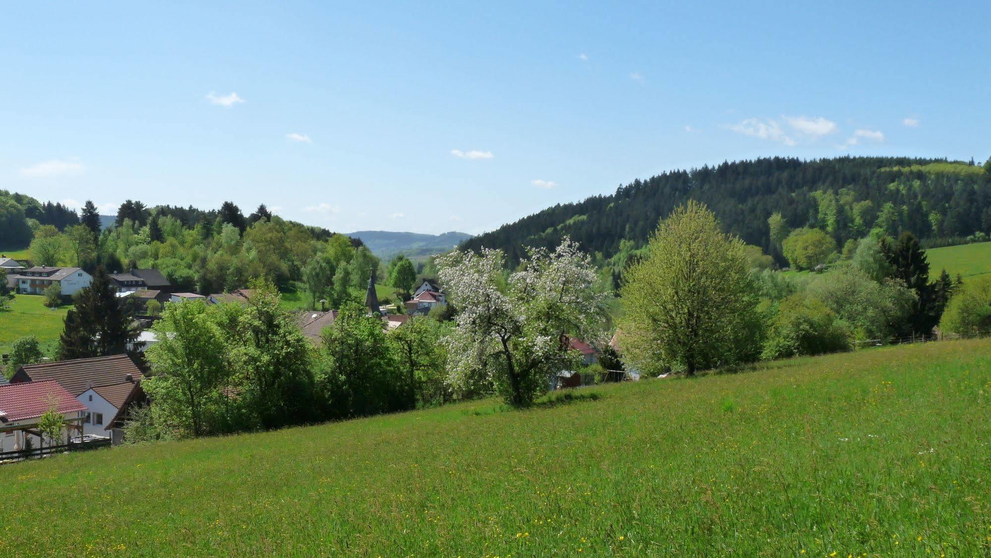 Ringhotel Siegfriedbrunnen Grasellenbach Exteriér fotografie